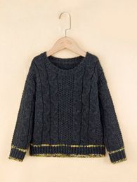 Toddler Boys Cable Knit Drop Shoulder Contrast Trim Sweater SHE