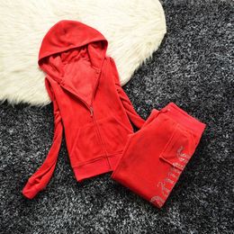 2023 Summer Brand Sewing 2 Piece Sets Velvet Velour Women Track Suit Hoodies and Pants Met Breathable Design 50ess juicy coutoure tracksuit MPH1 617V 2GCU