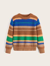 Toddler Boys Striped Pattern Colorblock Sweater SHE01