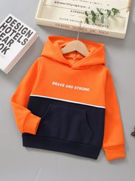 Toddler Boys Letter Graphic Colorblock Kangaroo Pocket Thermal Hoodie SHE