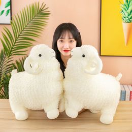 50CM Cute Alpaca Plush Toys Soft Plush Alpacasso Alpaca Dolls Stuffed Animal Toy Children Birthday Gift