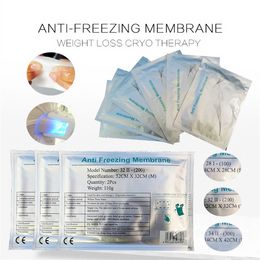 Membrane For Fat Freezing Slimming Slimming Machines Skin Rejuvenattion Machine Salon Use Singal Handle Work Together Ce