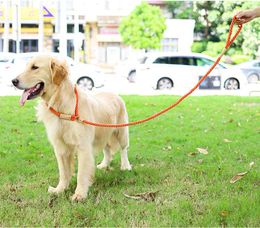 Dog Collars & Leashes Rope Leash 1.7M, Lightweight Nylon Braided Training For Dogs Multicolor Cotton Pet