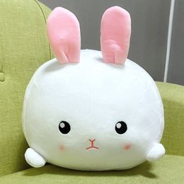Rabbit Pillow Doll Plush Toy Sleeping Back Cushion Cute Doll Girl Birthday Gift