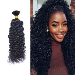 Malaysian Human Hair Bulk Afro Kinky Curly Hair for Braiding Natural Colour Crochet Braids No Weft Bulk Hair 14 to 26 Inch 100g