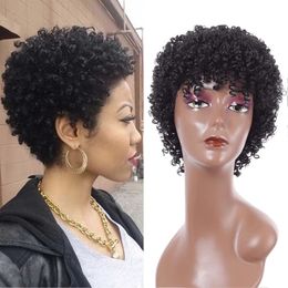 Synthetic for Black Women Short Curly Hair Natural Brown and Black Daily Use Heat Resistant Fibre Wigs