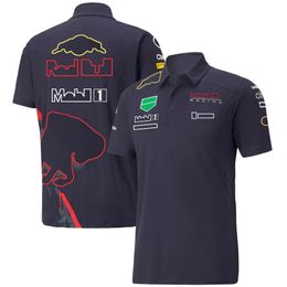 F1 Racing Polo Shirts T-shirt Formula 1 Team Summer New Fans Outdoor Short-Sleeve Casual Sports Top Oversized OHX0