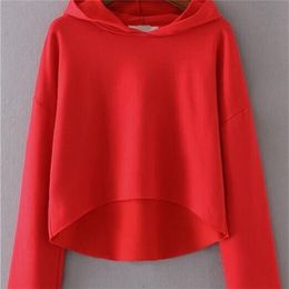 Explosive version of Europe and the United States foreign trade women's long sleeve short paragraph fleece factory direct sale 201204