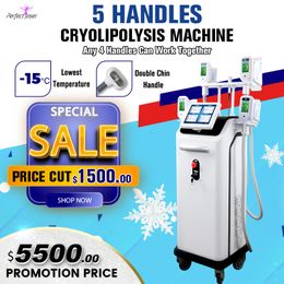 cryolipolysis fat cooling slimming weight loss equipment 5 handles working at same time cryo LED light therapy fast slim