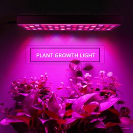 Full Spectrum Panel LED Grow Light Phyto Lamp AC85265V 25W Greenhouse Hydro for rium Indoor Plants Flower th Y200917