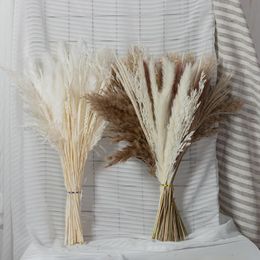 Decorative Flowers & Wreaths Real Forever Flower Luxury Home Dried Preserved Natural Pampas Grass Dancing Branch Exotic Plants Gift FemaleDe
