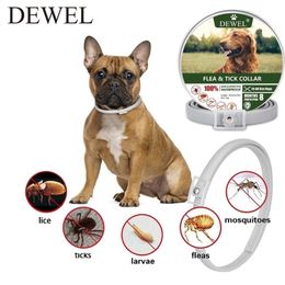 Dewel Pet Dog Collar Anti -Flea Ticks para mosquitos de gatos Repelas de proteção ao ar livre e Y200515