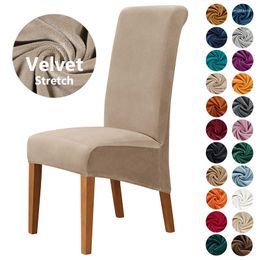 Chair Covers Extra Large Velvet Dining Room Cover Elastic Stretch Case For Chairs Spandex Long Back Slipcover Kitchen BanquetChair