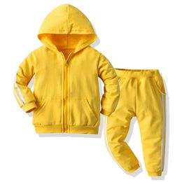 Tem doger Spring Autumn Children Clothes Set kids Zipper Hooded Tracksuits Toddler Coat+Pant 2Pcs Suits Little Child Sports Wear 220507