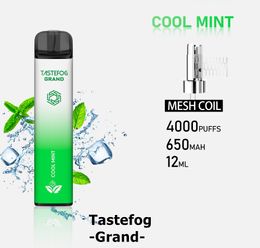 QK Mesh Coil Rechargeable Disposable Vape Tastefog Grand 4000 Puffs 2022 E Cigarette Pods Plus Factory Direct Wholesale 100% Top Quality 2%