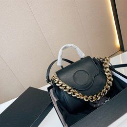 Fashion Bag Top Shoulder Bag Designer Panel Trim Women Big Chains Strap Internal Flat Pocket Magnetic Buckle Handbags Leather Purse Wallets 17cm