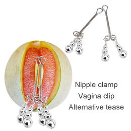 Fetish slave eroticism flirting sexy toys SM play bondage for female nipples clamp labia erotic accessories