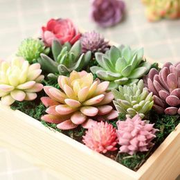 Decorative Flowers & Wreaths Mini Artificial Succulents Land Lotus Plants Plant Landscape Fake Arrangement Garden Home Decoration DIYDecorat