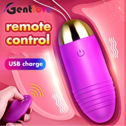 10 Speeds Remote Control USB Rechargeable Wireless sexy Vibrating Love Egg Vibrator Women Adult Products