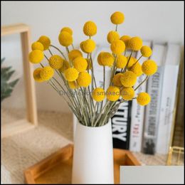 Decorative Flowers Wreaths 20Pcs Craspedia Billy Ball Natural Dried Bouqet Arrangement In Vase Preserved For Decoration Wedding Home Drop