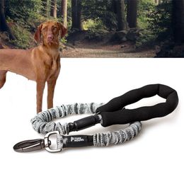 Retractable Dog Leash Nylon Rope Running Bungee Extendable Leads Pet Leashe for Strap Pitbull Greyhound Dropship Solid LJ201109