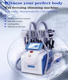 360 degree cryolipolysis Body Slimming Cryotherapy Anti-Cellulite Fat Freezing Machine Skin Tightening Lipo laser Multifunctional Beauty Machine