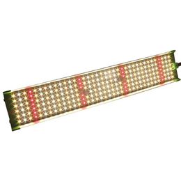 High Output 85w led grow light Full Spectrum Plant Lighting For Indoor growth hydroponic system