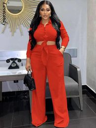 Woman Lace Up Cropped Ice Silk Shirt Pants Suit Lady Polo Neck Long Sleeve Casual Trousers Suit Female Fall Suit Plus Size 220817