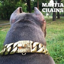 Metal Stainless Steel dog collar Chain Martingale Highend custom Show Collar Bully dogs Doberman Adjustable Safety Y200515