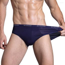 Underpants Briefs In Bulk Breathable Sexy Men's Underwear Comfortable Shorts Floor StandUnderpants UnderpantsUnderpants