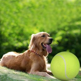 24CM Big Inflatable Tennis For Pet Chew Toy Supplies Outdoor Cricket c430