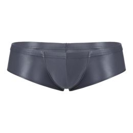 Underpants Mens Low Waist Boxers Panties Underwear Multi Colours Man Sexy See Through Elastic Waistband Briefs NightwearUnderpants