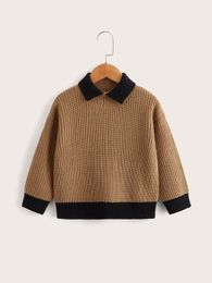 Toddler Boys Contrast Trim Drop Shoulder Sweater SHE