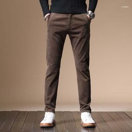 Buy Brown Corduroy Pants Men Online 