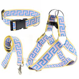 Step in Nylon Dog Harness and Leashes Set Easy Fit Adjustable Pet Harnesses Lightweight Soft Dog Collar for Walking or Training Small Medium Large Dogs XS B126