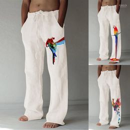 Men's Pants Cut Jeans Mens Fashion Casual Printed Linen Pocket Lace Up Large Size PantsMen's Drak22