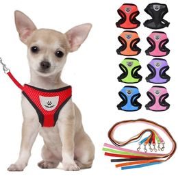 Nylon Mesh Cat Harness And Leash Breathable Kitten Cats Harnesses Small Dog Puppy Harness For French Bulldog Chihuahua Pug 220815