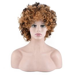 Afro Kinky Wave Wigs Spiral Curl African Loose Wave Synthetic Wig