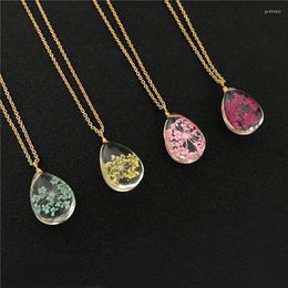 Pendant Necklaces Fashion Handmade Daisy Real Dry Flower Resin Necklace Dome Cabochon Dried WholesalePendant Godl22