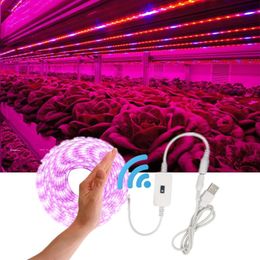 Grow Lights Phytolamps For Plants 5V LED Light Strip 2835 Chip 1m 2m 3m Phyto Tape Hydroponic Greenhouse Seedlings GrowthGrow