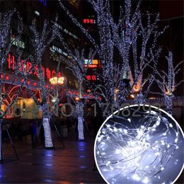 Strings 2PCS10m-100led/20m-200led Copper Wire Warm White LED String Lights Starry Fairy 12V Power Adapter Remote ControlLED