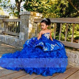 Royal Blue Two Pieces Children Princess Beauty Pageant Gowns Puffy Flowers Girl Birthday Dress Photography 322 322 322