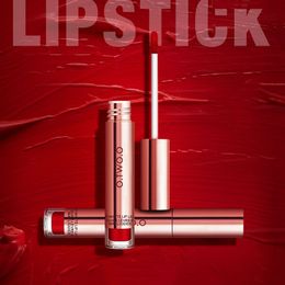 Newest 4ml 12 Colours Matte Liquid Lip Gloss Misty Cream Lip-Slime Lip-Glaze Waterproof Long Lasting Lip Stick Lip-stain Lip-glow Lip-balm Lips Makeup Cosmetic ZL0871