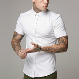 camisas para hombres blancas