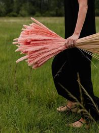 Bunch Natural Dried Bulrush Small Pampas Grass pink Phragmites Communis Reed Photography Plant Wedding Flower Home Decor