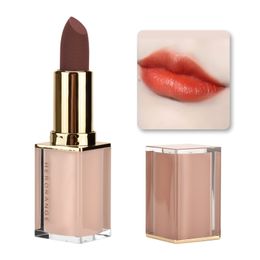 Girl Cute Crystal Matte Face Tube Lipstick 02 Tomato Color 1pc