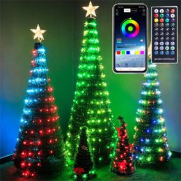 Strings 100/200LED Smart Fairy String Lights USB Bluetooth Christmas Twinkle With Remote Multi Color Changing Firefly LightsLED LED