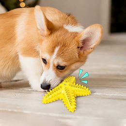 Pet Supplies Wholesale Dog Toy Ball Starfish Voice Toothbrush Molar Stick spot