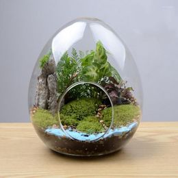 Fiori decorativi ghirlande di vetro a forma di uovo creativo vaso idroponico idroponico micro paesaggio bottiglia di muschio decorazione per la casa decorativa