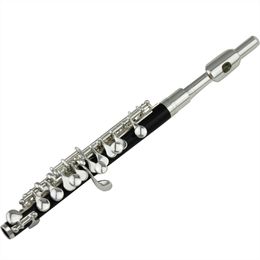 Intermediate grade ABS body Silver Plated Piccolo